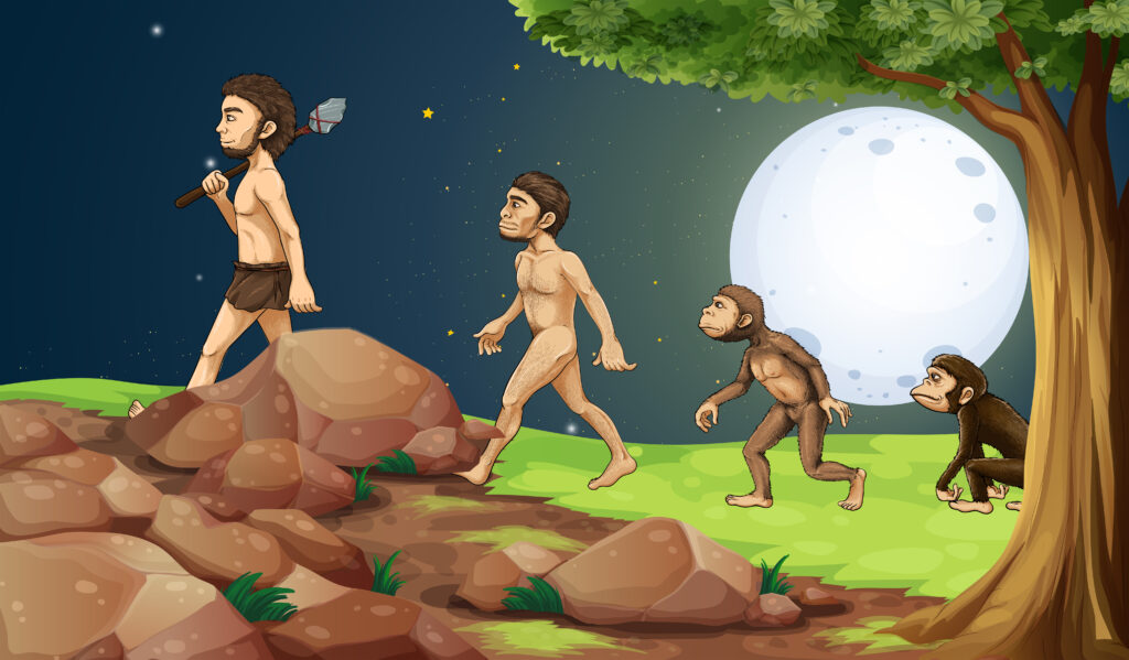 Evolution of man in the hilltop